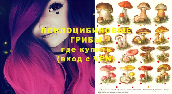 спайс Надым