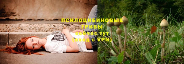 каннабис Нефтекумск